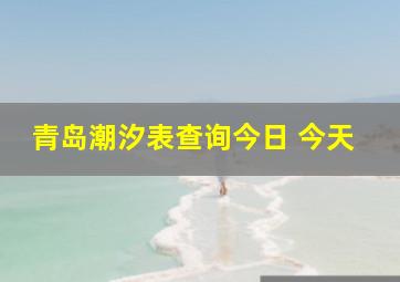 青岛潮汐表查询今日 今天